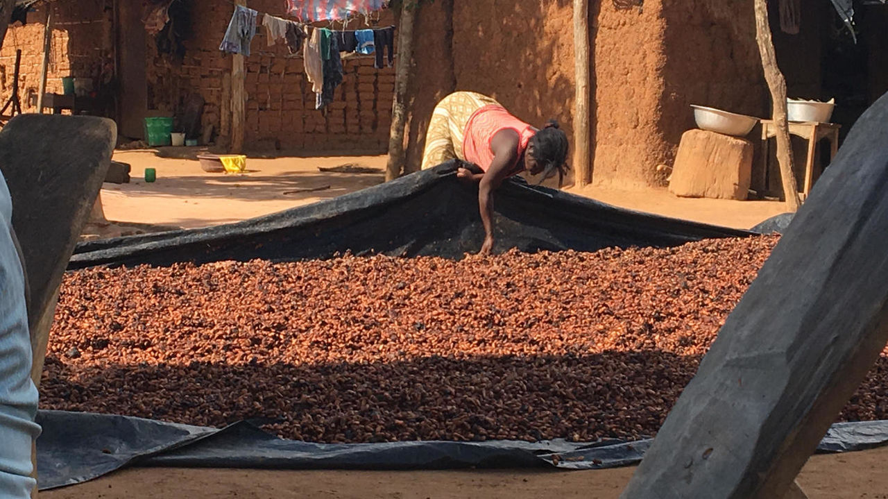 Woman in a rural cocoa community in Côte d'Ivoire